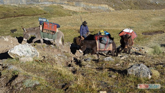 11.Tag Paso-Yaucha-4800m-Lag (4)