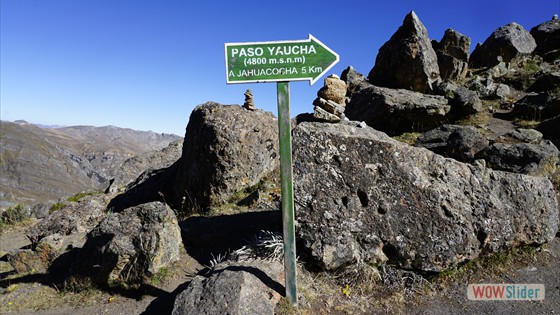 11.Tag Paso-Yaucha-4800m