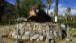Campo Santo Yungay 