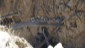 CaÃ±Ã³n del Pato