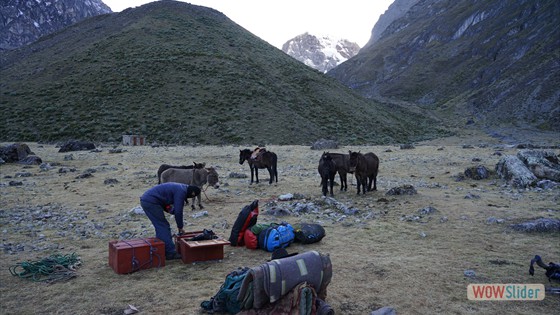 Camp6 